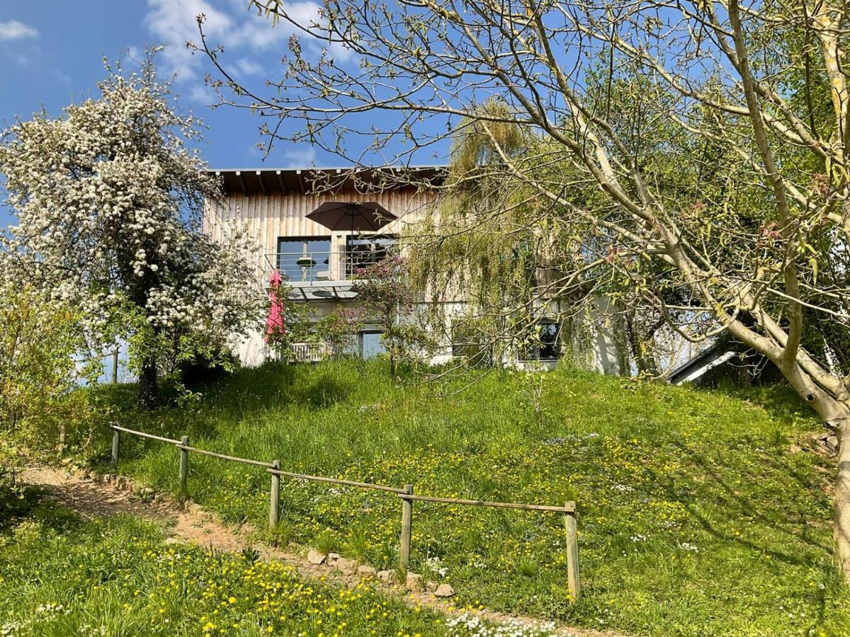 Appartement Moselglueck à Schweich Extérieur photo